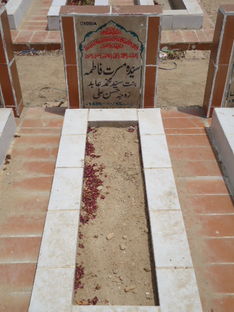 15105 – Syeda Mussarat Fatima