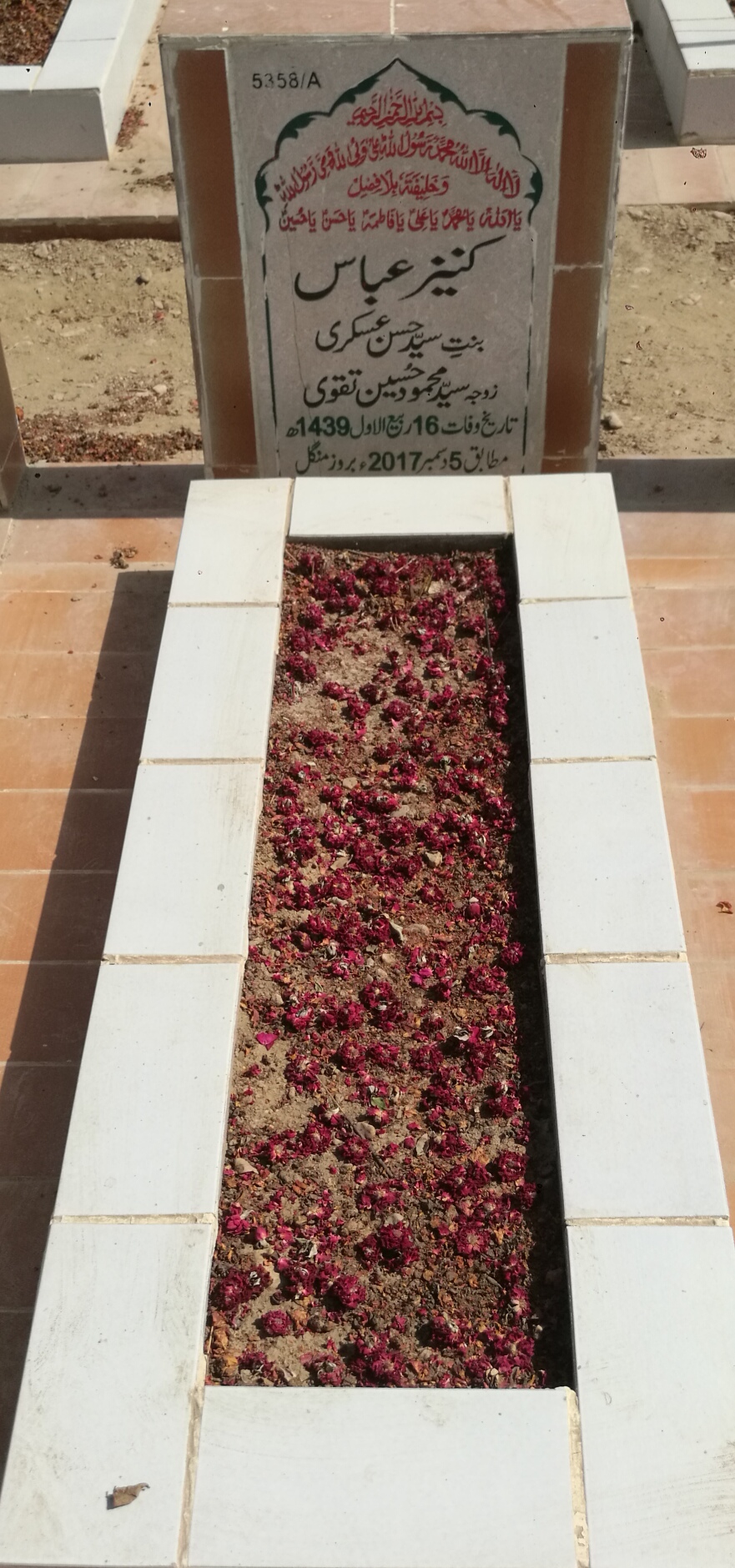 15358 – Kaneez Abbas