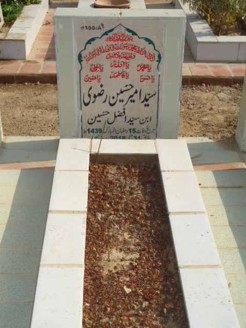 16155 – Syed Ameer Hussain Rizvi