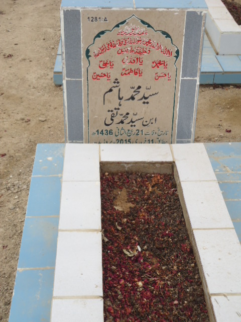 11281 – Syed Muhammad Hashim