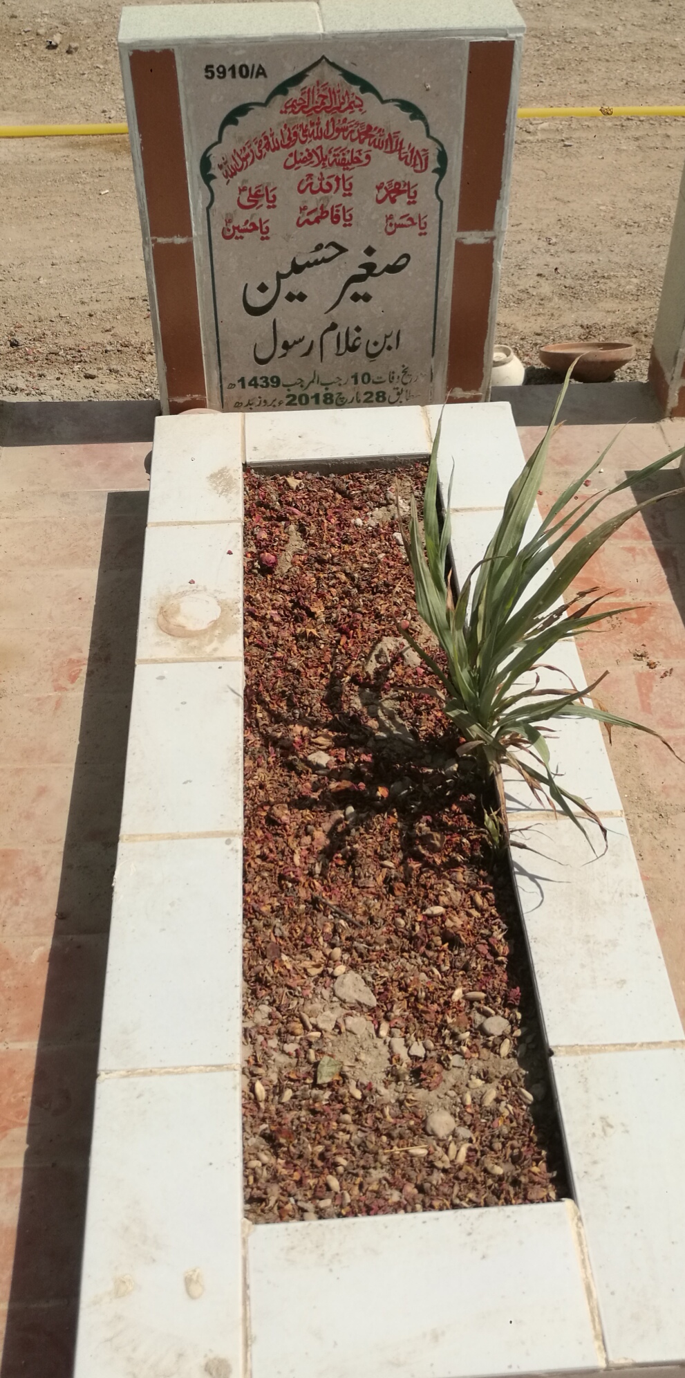 15910 – Sagheer Hussain