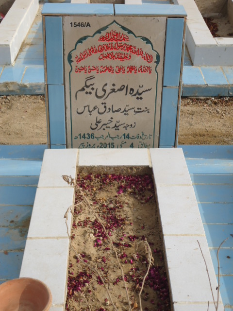 11546 – Syeda Asghari Begum