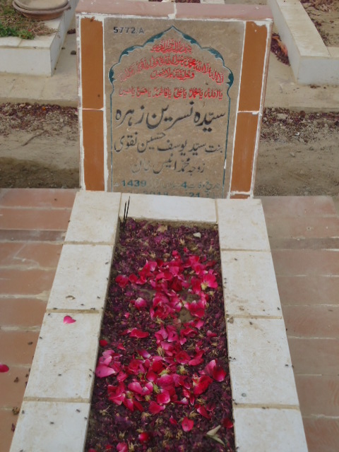 15772 – Syeda Nasreen Zehra