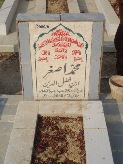 12980 – Muhammad Asghar
