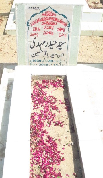 16530 – Syed Haider Mehdi