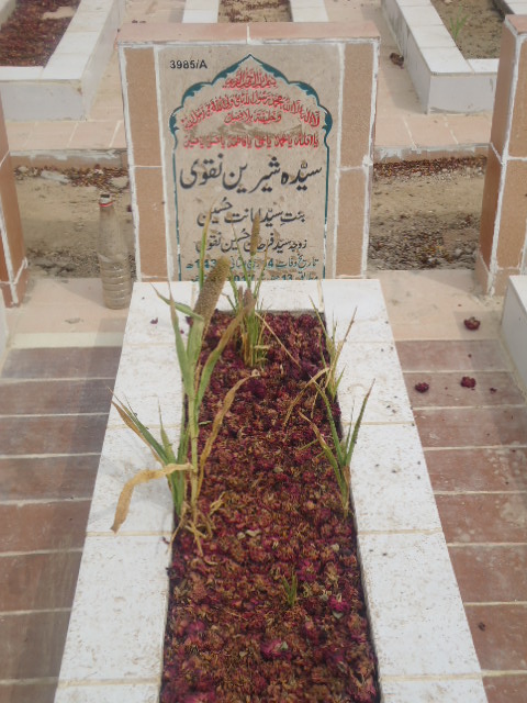 13985 – Syeda Shreen Naqvi