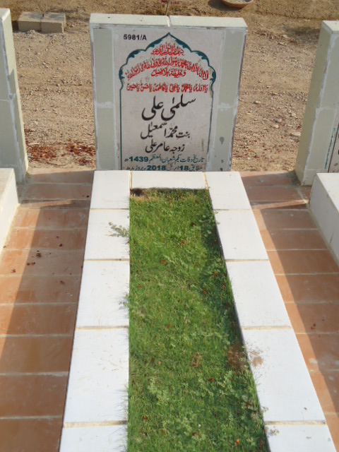 15981 – Salma Ali