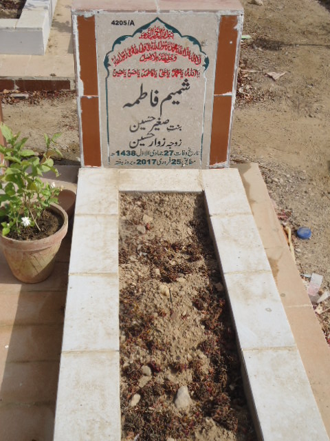 14205 – Shamim Fatima