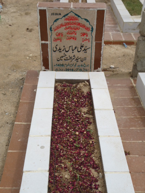 13538 – Syed Ali Abbas Zaidi
