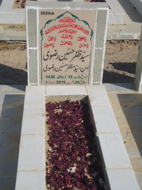 12029 – Syed Zafar Hussain Rizvi