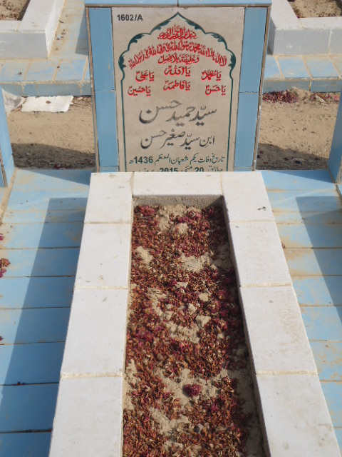 11602 – Syed Hameed Hasan