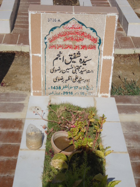 13736 – Syed Dildar Hussain