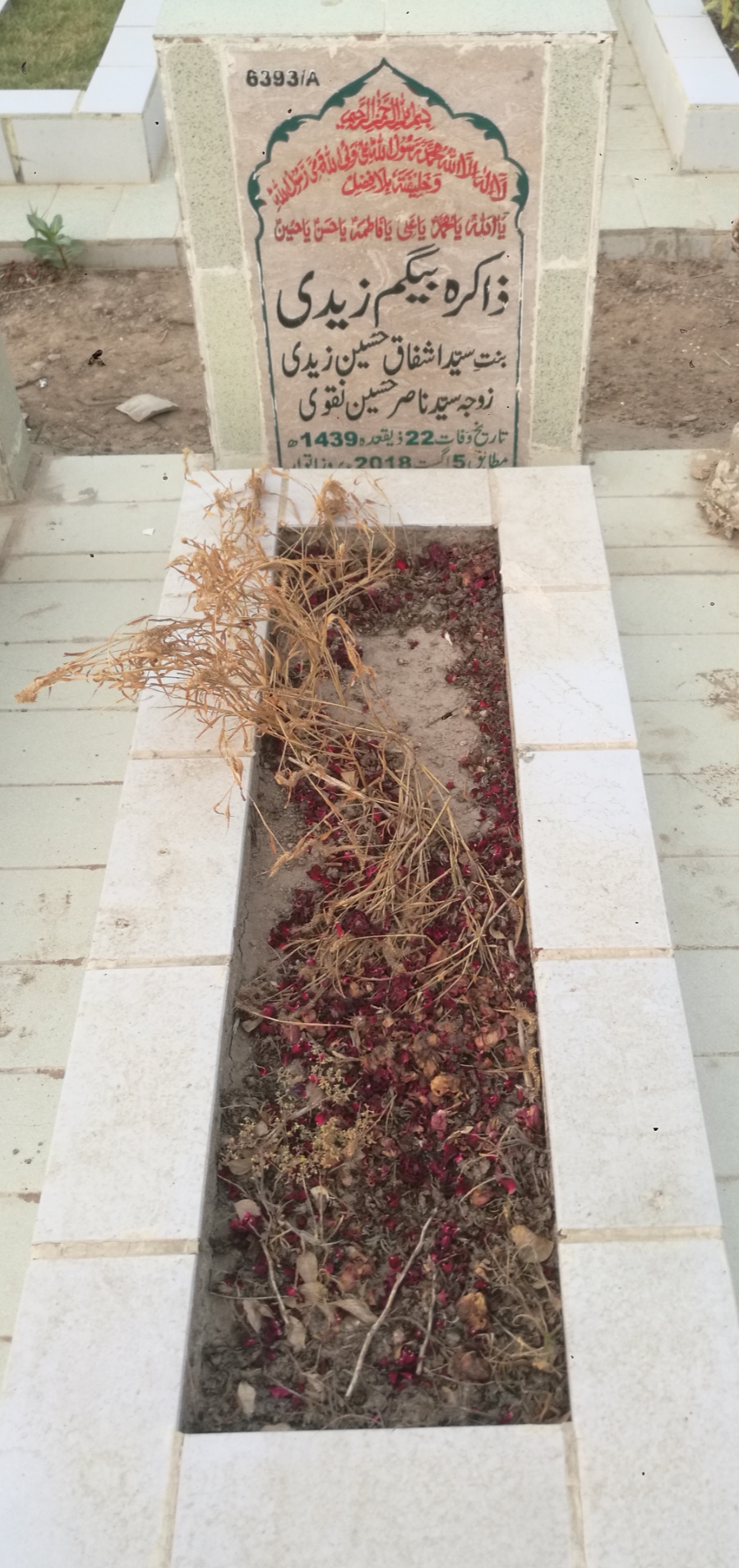 16393 – Zakira Begum Zaidi