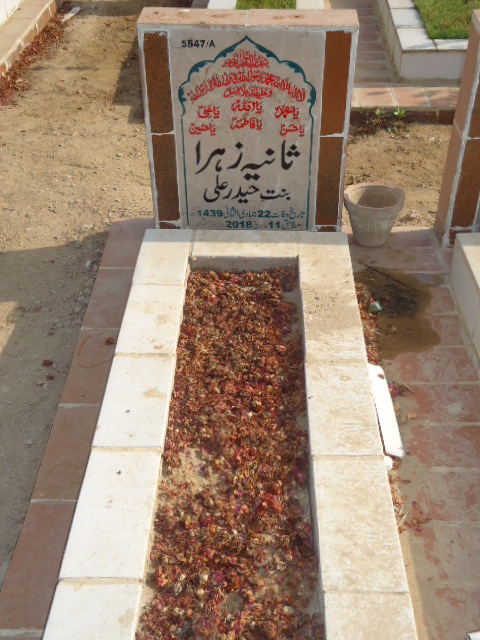 15847 – Sania Zehra