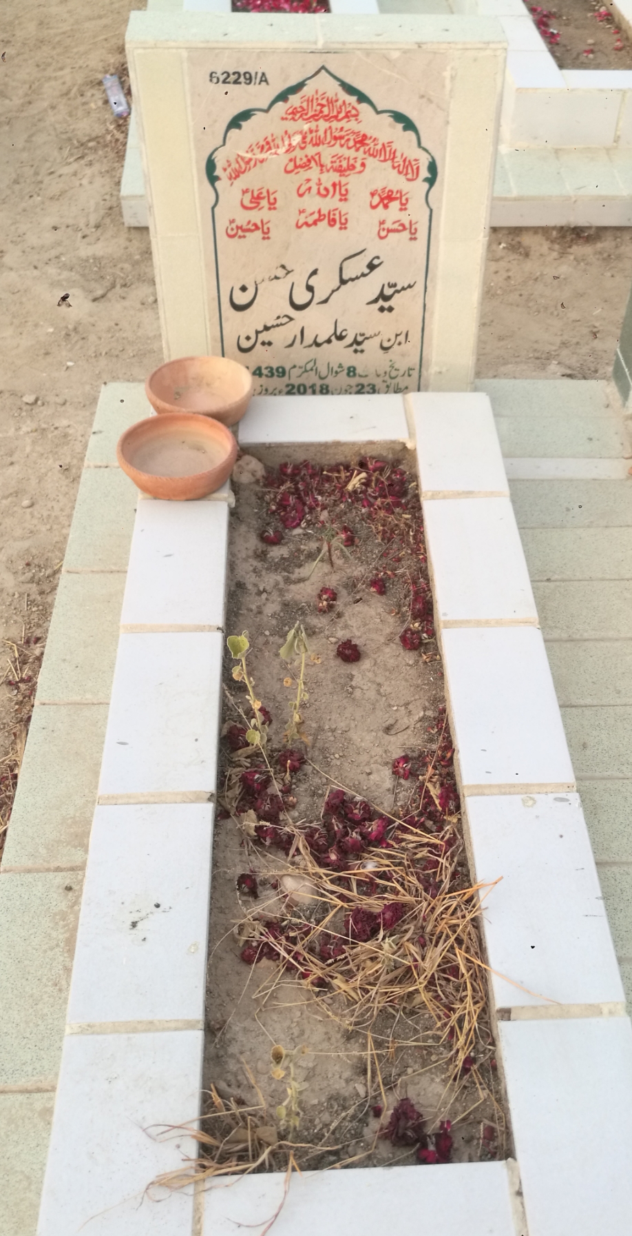 16229 – Syed Askari Hassan