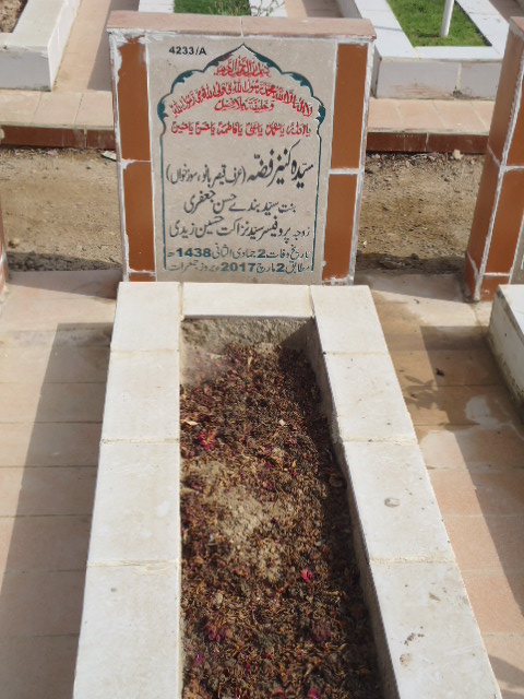 14233 – Syeda Kaneez Fizza