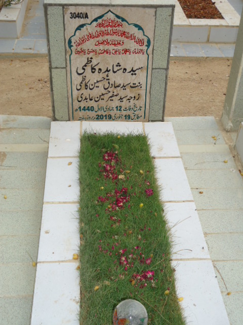 13040 – Syeda Shahida Kazmi