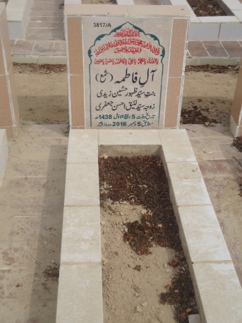 13817 – Alay Fatima