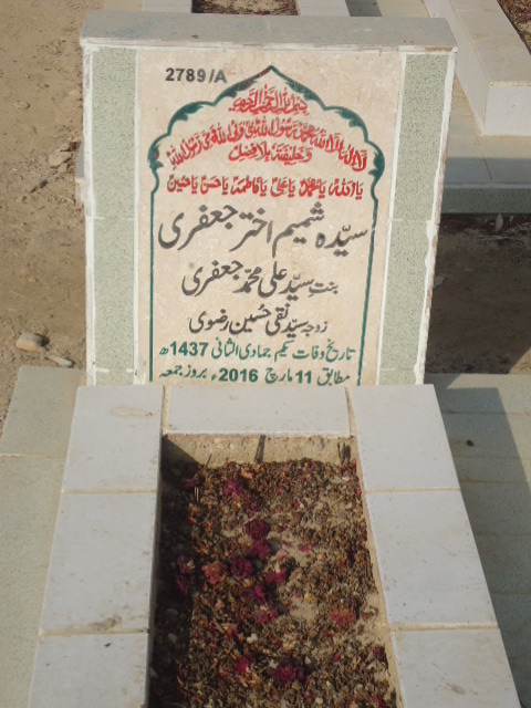 12789 – Syeda Shamim Akhtar Jaffery