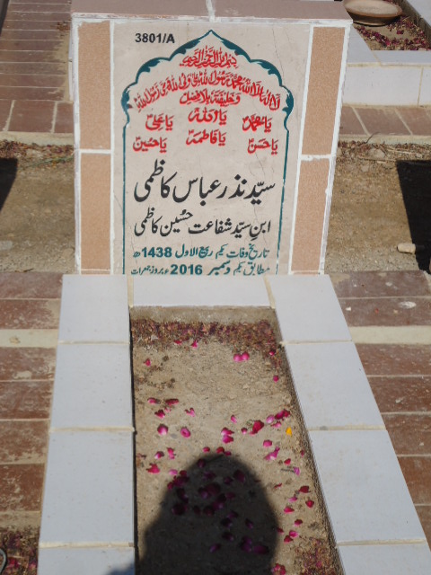13801 – Syed Nazar Abbas Kazmi