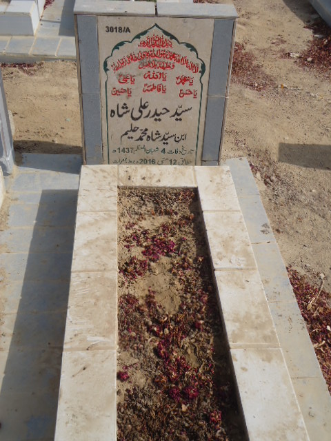 13018 – Syed Haider Ali Shah