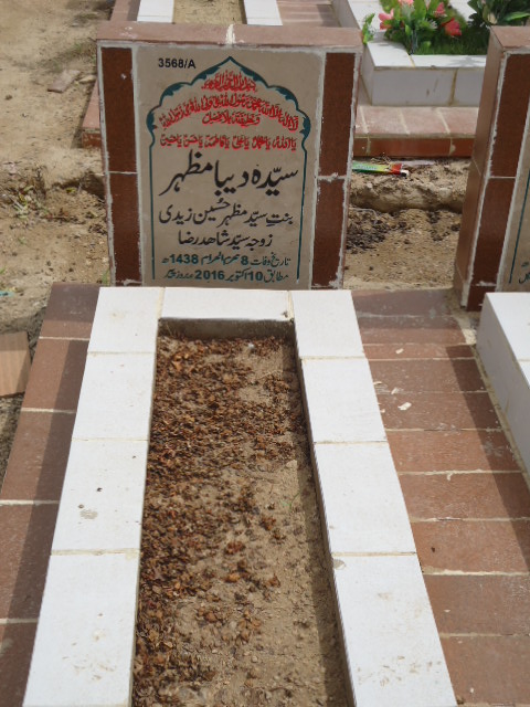 13568 – Syeda Deba Mazhar