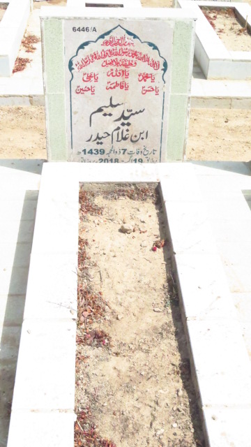 16446 – Syed Saleem