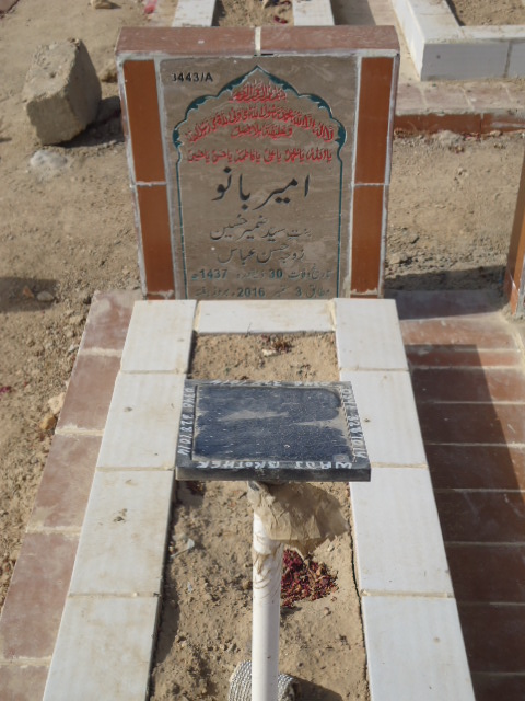 13443 – Ameer Bano