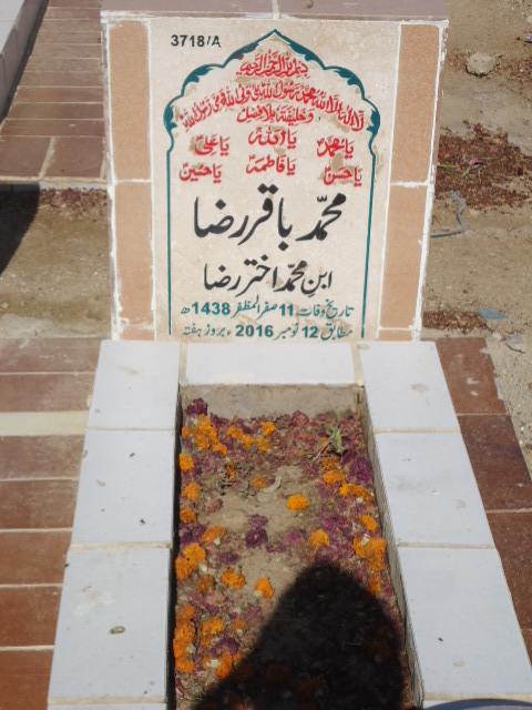 13718 – Muhammad Baqar Raza