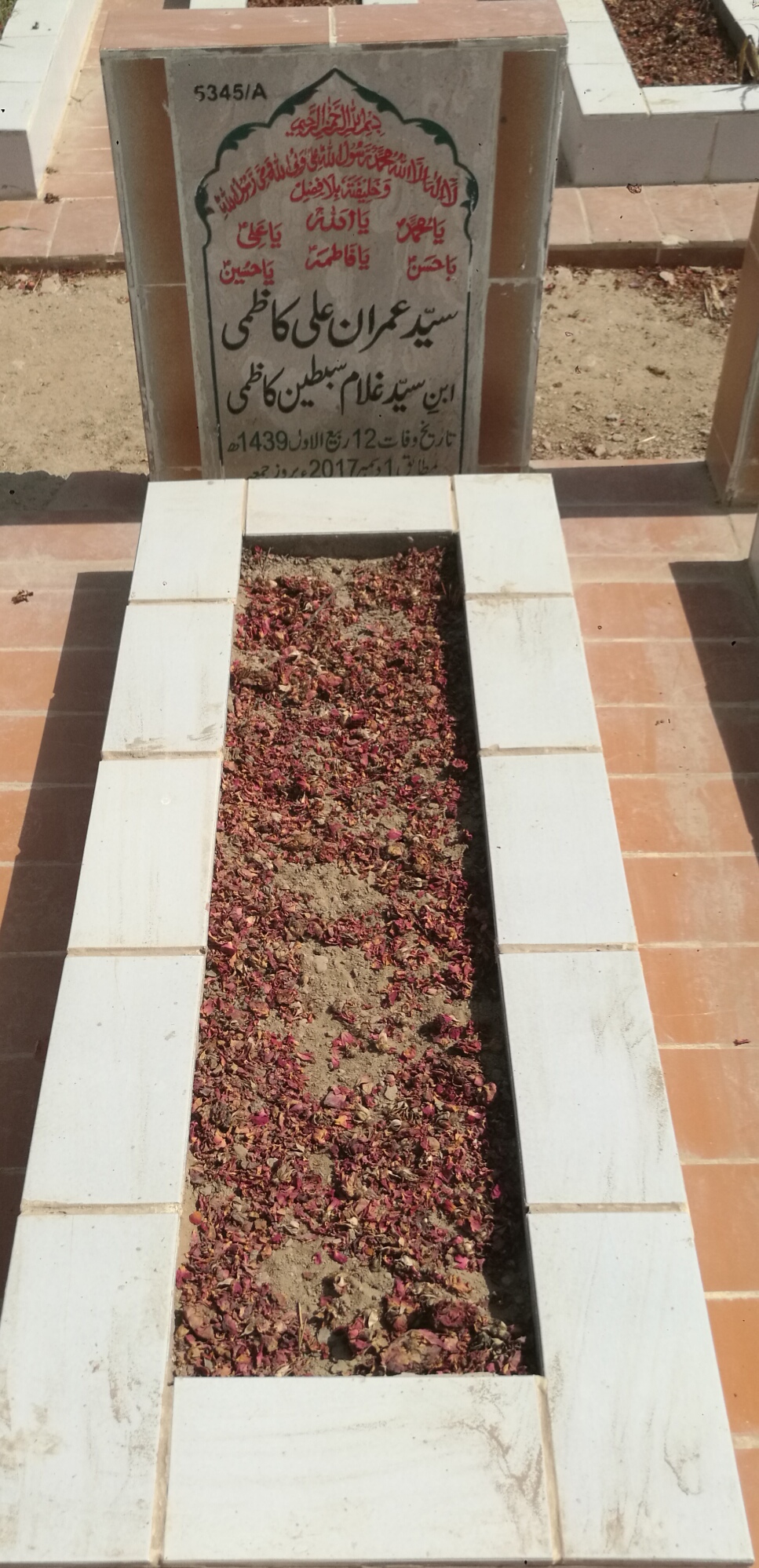 15345 – Syed Imran Ali Kazmi