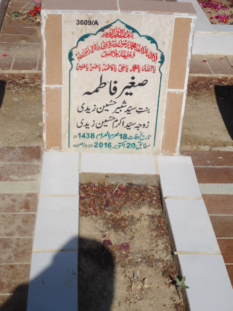 13609 – Sagheer Fatima