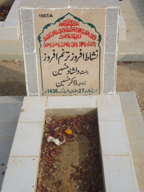 11907 – Nishat Afroz