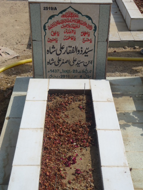 12519 – Syed Zulfiqar Ali Shah