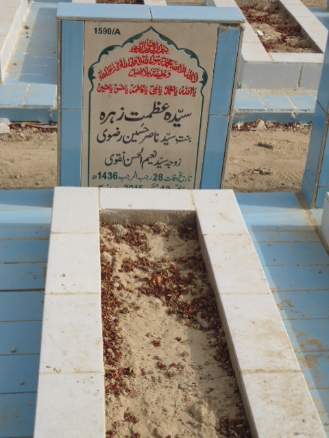11590 – Syeda Azmat Zehra