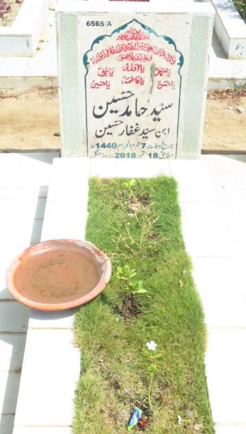 16565 – Syed Hamid Hussain
