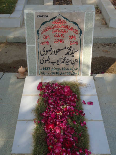 12641 – Syed Muhammad Masood Rizvi