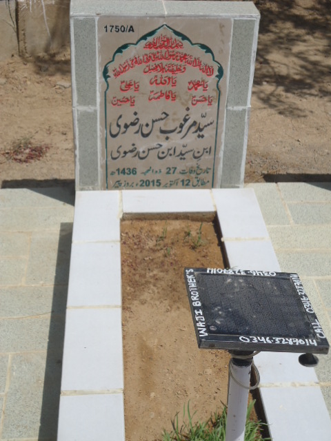 11750 – Syed Marghoob Hasan Rizvi