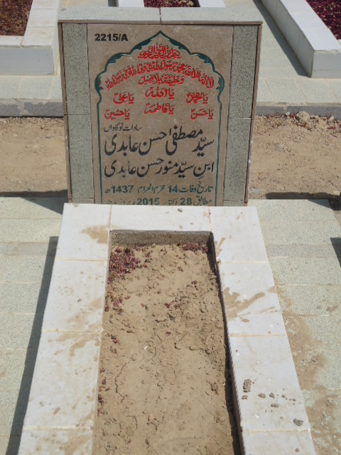 12215 – Syed Mustafa Hasan Abidi