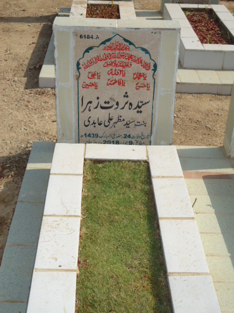 16184 – Syeda Sarwat Zehra