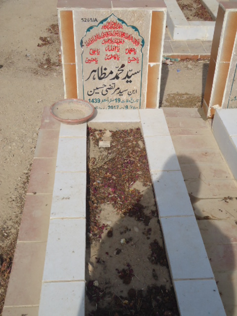 15261 – Syed Muhammad Mazahir
