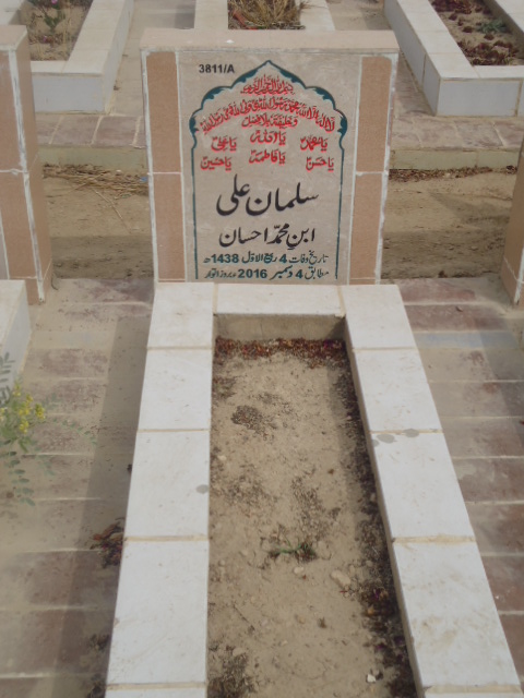 13811 – Salman Ali