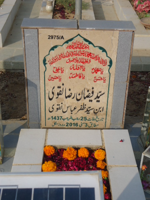 12975 – Syed Faizan Raza Naqvi