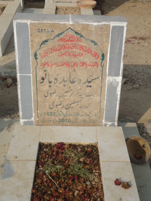 12873 – Syeda Abida Bano