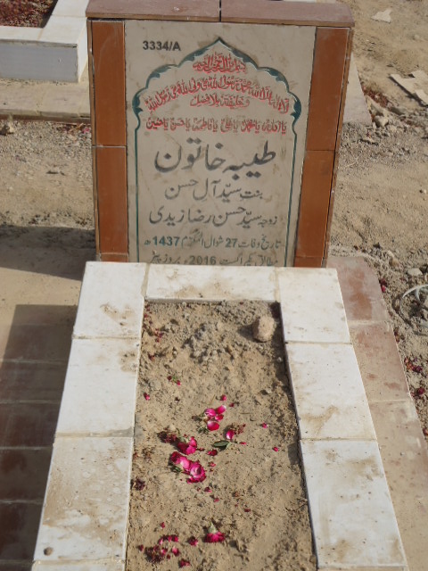 13334 – Tayyeba Khatoon
