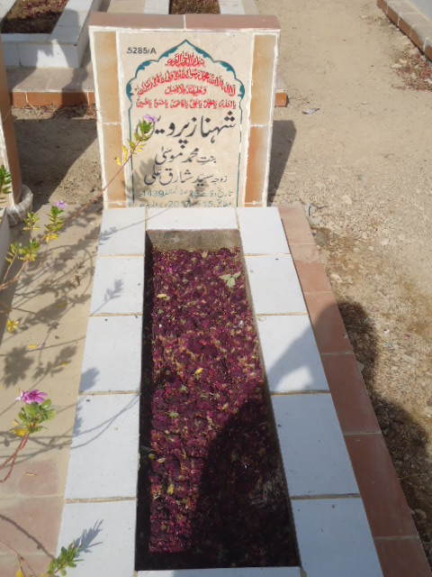 15285 – Shenaz Parveen