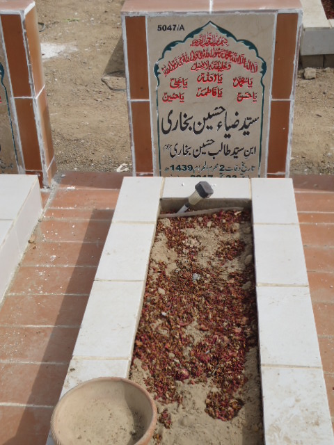 15047 – Syed Zia Hussain Bokhari