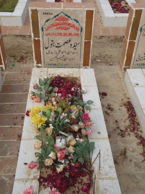 15541 – Syeda Ismat Batool