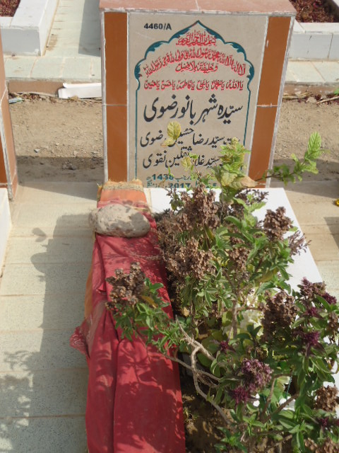 14460 – Syeda Sheharbano Rizvi
