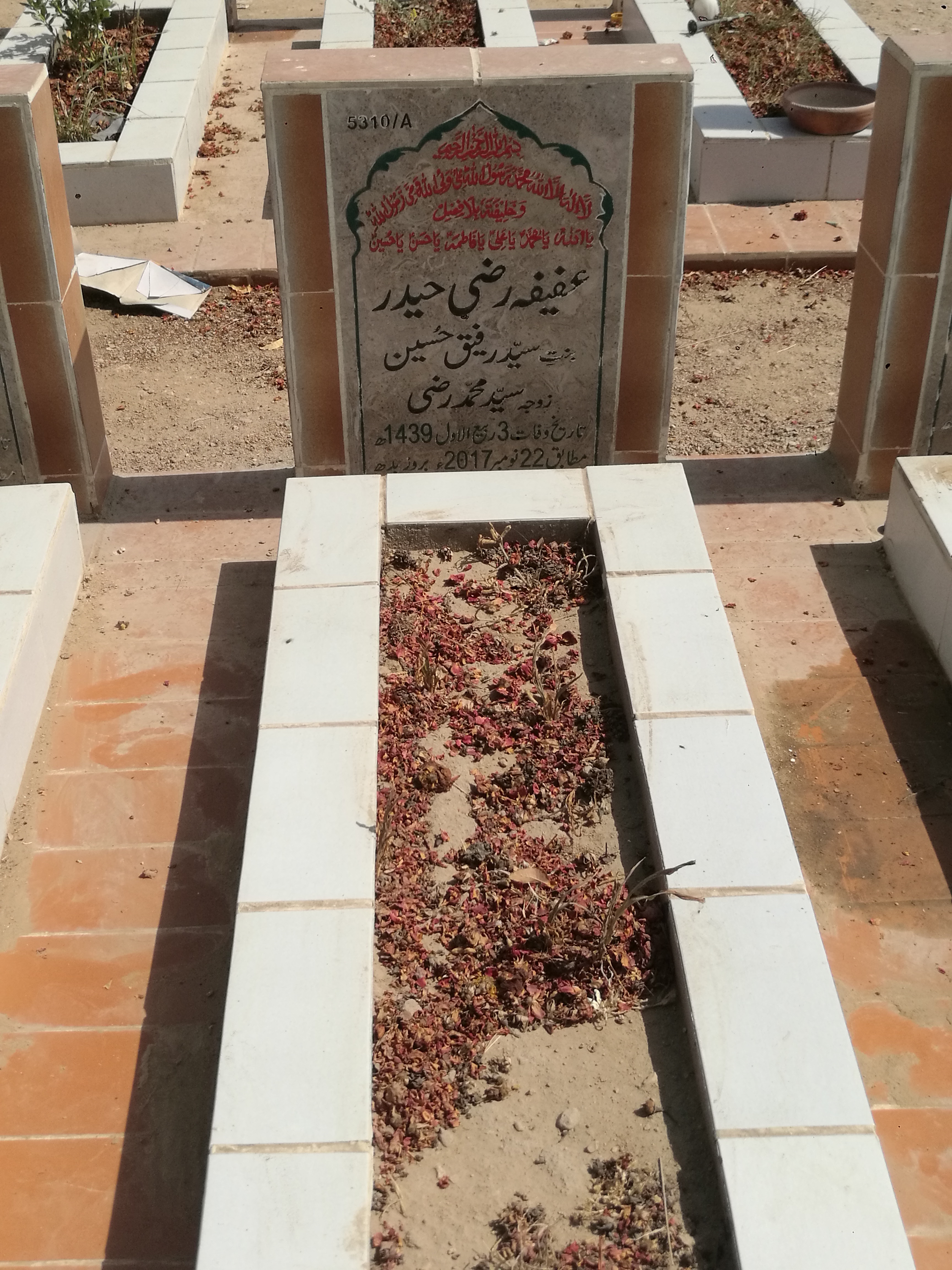 15310 – Afifa Razi Haider