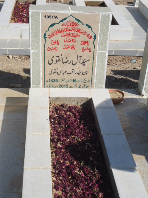 11951 – Syed Alay Raza Naqvi